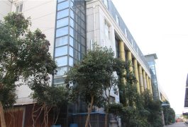 фабрычная выстава